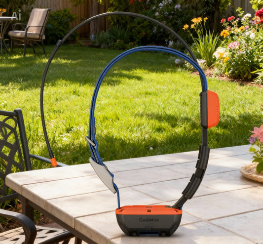 Garmin-Collier de suivi GPS Alpha T20, version américaine