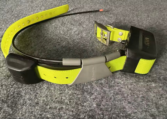 Colliers de suivi pour chiens Garmin TT15 d'occasion avec collier de chargeur Garmin TT15