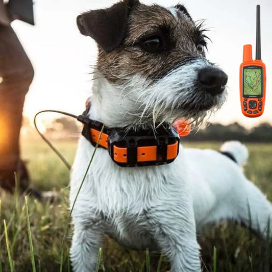 Garmin ALPHA 50 Appareil GPS portable Version européenne T5 Costume de col Multi-chien Suivi de l'entraînement à distance Dispositif GPS Suivi à distance